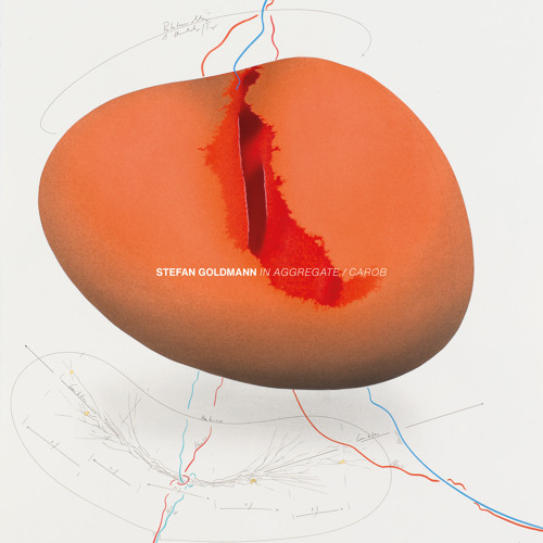 PREMIERE: Stefan Goldmann - In Aggregate [Macro]