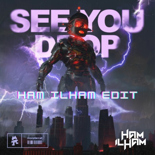 Ray Volpe - See You Drop (Ham Ilham Edit)