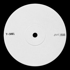 Y-3001