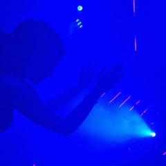 POLYXENE (12.06.2025)