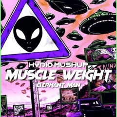 MUSCLE WEIGHT (HYD10 MUSHUP) 2024.mp3
