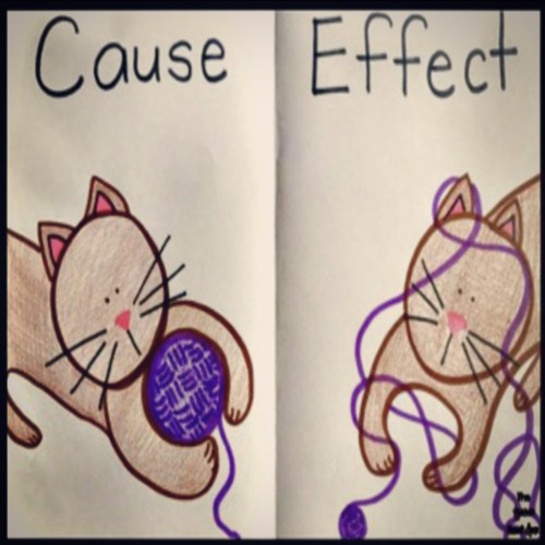 cause and effect prod 444jet
