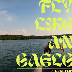 Fly Like An Eagle (GRiZ Flip)