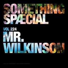 MR. WILKINSON: SPÆCIAL MIX 224