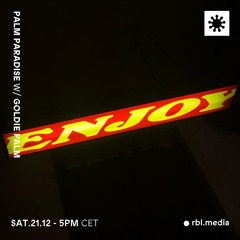 Palm Paradise | 035 @RBL Berlin, 21st Dec 2024