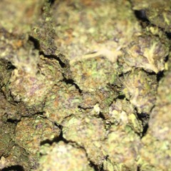 Steamin N Smokin