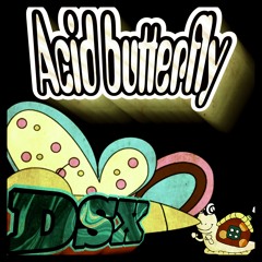 acid butterfly.mp3