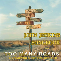 Robyn Gair - Too Many Roads