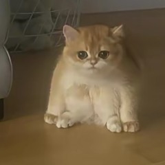 Subwoofer lullaby but with big drums