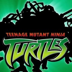 Ready To Strike TMNT 2003