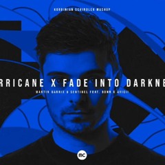 Martin Garrix&Avicii - Fade Into Hurricane Darkness (Korbinian Schindler Mashup)