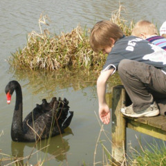 Treacherous Rain Brings Water