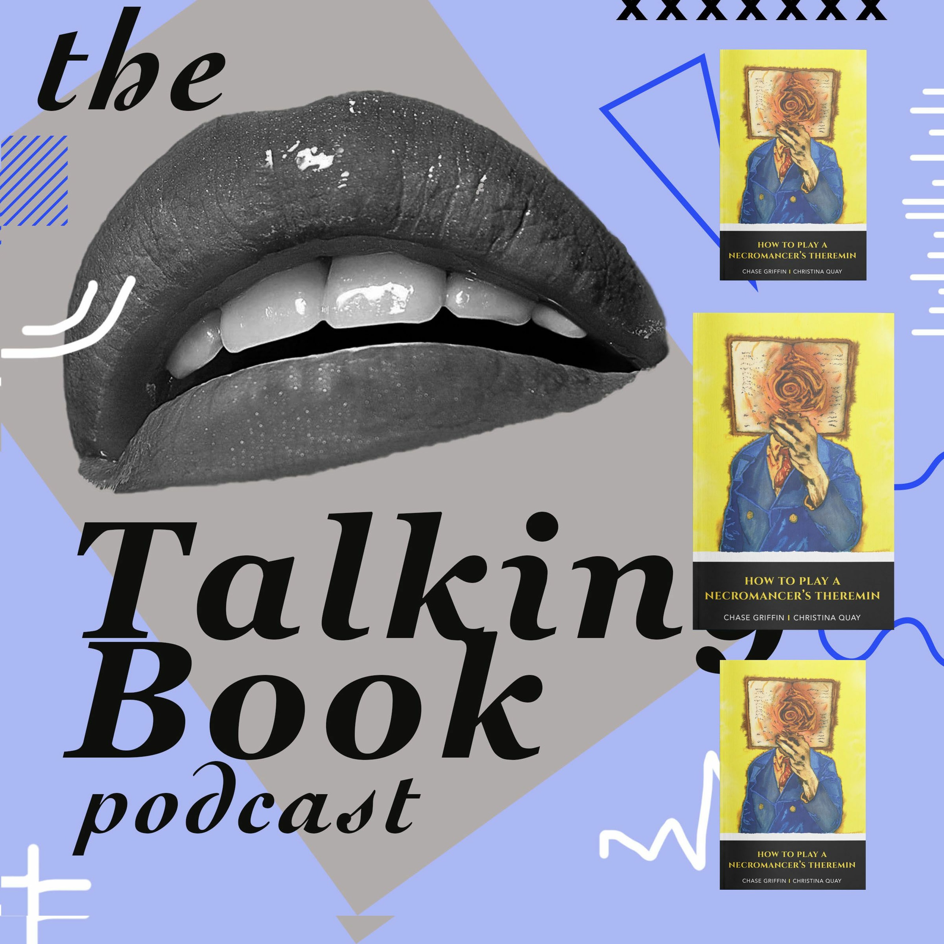 The Talking Book Podcast