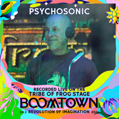 Psychosonic - Recorded on the TRiBE of FRoG stage at Boomtown 2024 (11th August 20:00-21:00)