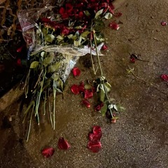 Tr5llo - LuhROSE (prod. Louiejlewis)