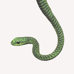 boomslang - instrumental demo