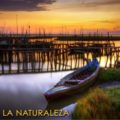 Agua (Musica Instrumental)