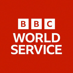 BBC World Service - Business Daily program 9 September 2024 - US Election Spending On TV Advertising