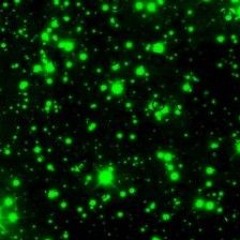 chaos-formed_the-space-within-void-all-one-and-the-same.mp3