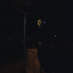 Nite Crawlers