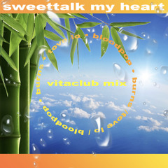 Sweettalk my Heart (BloodPop® & BURNS Vitaclub Remix)