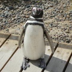 4 sept heures Gm - Eb - A-_C 102bpm