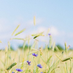 A Song of the Wind for orchestra (2023)
