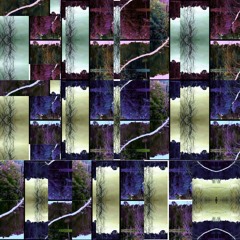 Visualized Circuitry