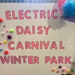 ELECTRIC DAISY WINTER PARK - Mixed by DT