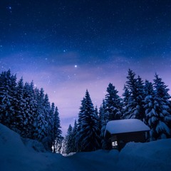 Winter Stars