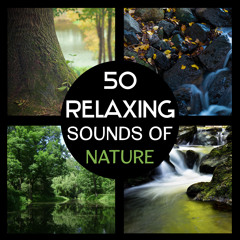 Natural Ambient
