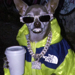 ART SCHOOL DROPOUT (RUFF DRAFT)