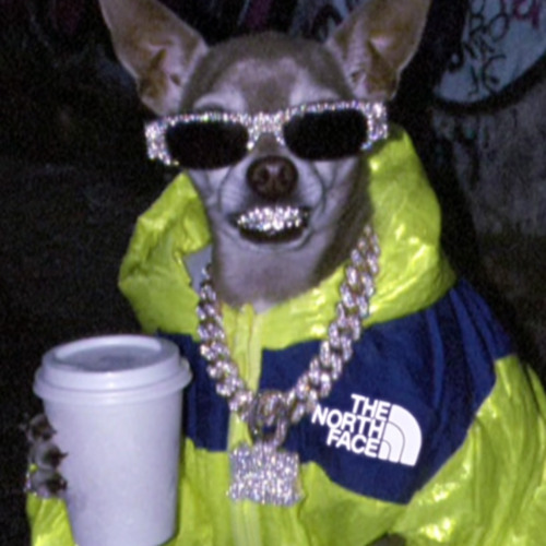 ART SCHOOL DROPOUT (RUFF DRAFT)