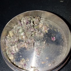 🍁😲