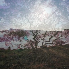 Ole Man Winter's Selection