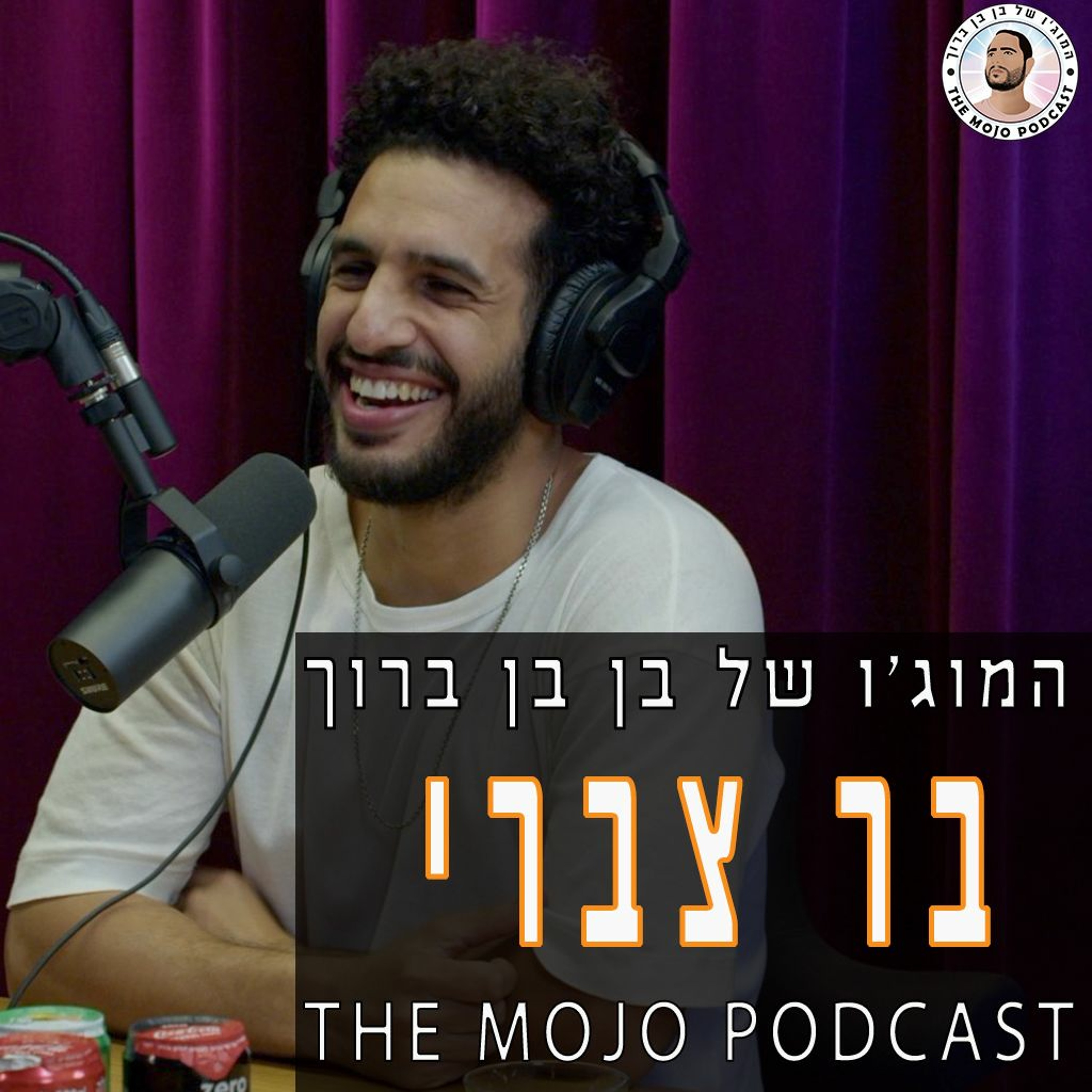 הפודקאסט של בן בן ברוך - בר צברי episode artwork