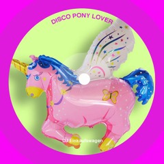 Disco Pony Lover -  S'PUNK! promo mix