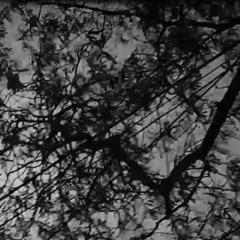 DearYan - METALICO (Prod by. cia)