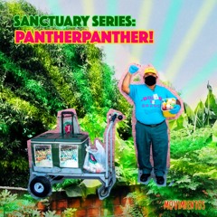 Sanctuary #12: Panther Panther