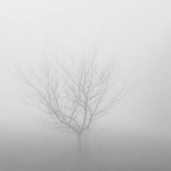 LECHY - MIST [FEAT 2HOLLIS & CIRCLEAIN] (PROD TAYLOR MORGAN)