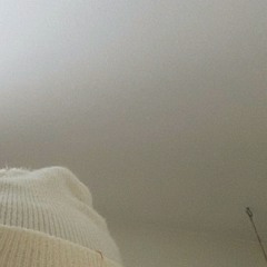 shelter
