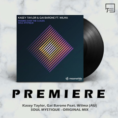 PREMIERE: Kasey Taylor, Gai Barone Feat. Wilma (AU) - Soul Mystique (Original Mix) [MEANWHILE]