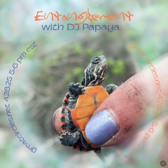 Entanglement w/ DJ Papaya - 28April2025