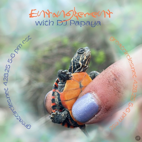 Entanglement w/ DJ Papaya - 28April2025