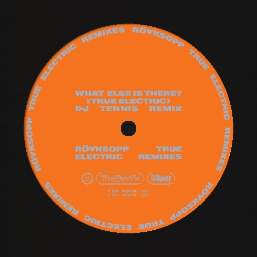 Artwork for the song Röyksopp - What Else Is There?  (DJ Tennis Remix) by Röyksopp on Next Sound