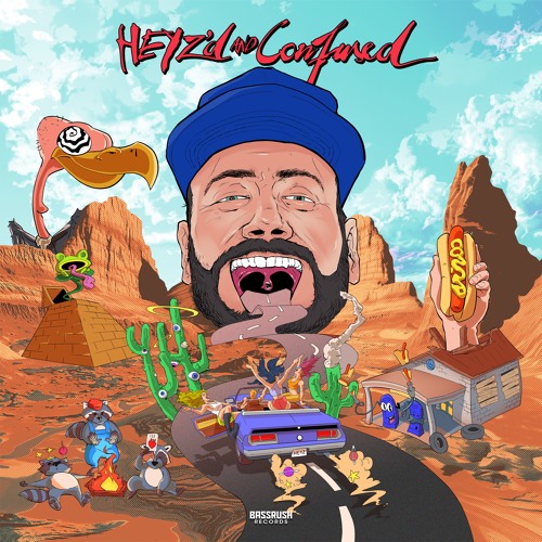 HEYZ - HEYZ'D And Confused