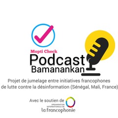 Note d’analyse de juin 2024 sur la désinformation : tendances sur les réseaux sociaux en Afrique de