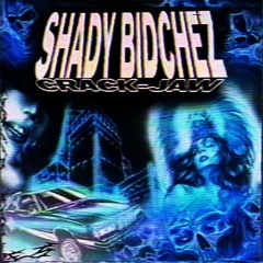 SHADY BIDCHEZ