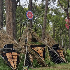 Psytopia Festival - Fun Afternoon Psytrance Set // NEMA