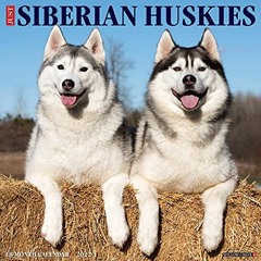[Access] EBOOK EPUB KINDLE PDF Just Siberian Huskies 2022 Wall Calendar (Dog Breed) b